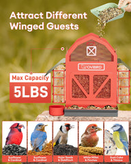 OVIBIRD detailed feeding ports with perches allowing multiple birds to feed