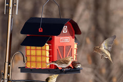 OVIBIRD closeup of waterproof metal roof protecting seed for longer freshness