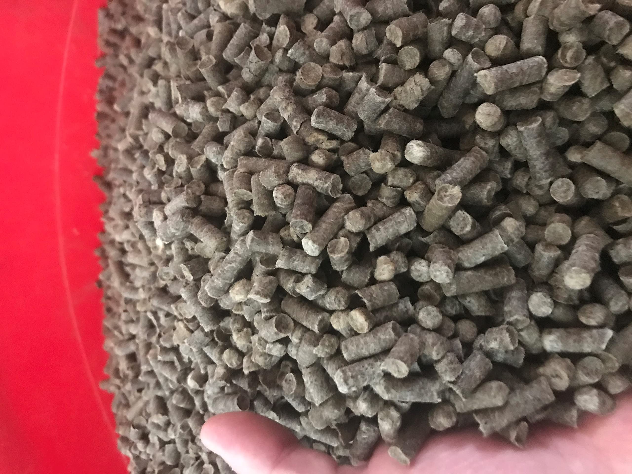 Ovis Aries pellets mixed in a flower pot promoting consistent moisture