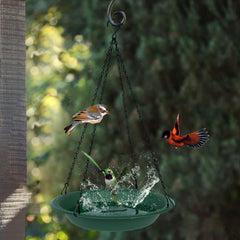 OVZILKI wide porous rim detail showing secure perching area for birds