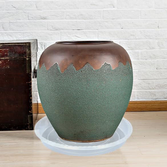 OVZILKI saucer used as bird bath outdoors attracting birds safely