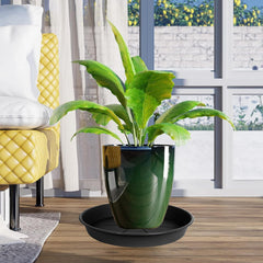 OVZILKI side profile highlighting 1.6-inch height for water retention