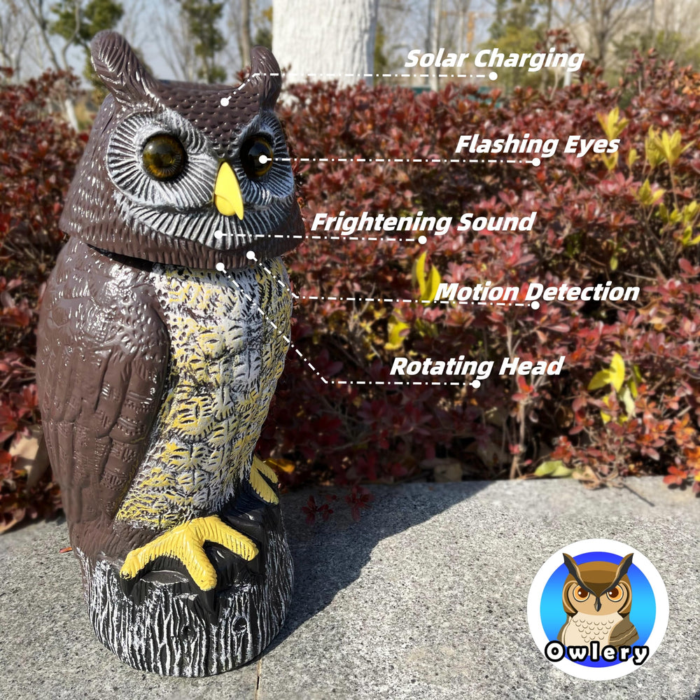 Owlery flashing eyes at night demonstrating visible deterrent to nocturnal animals