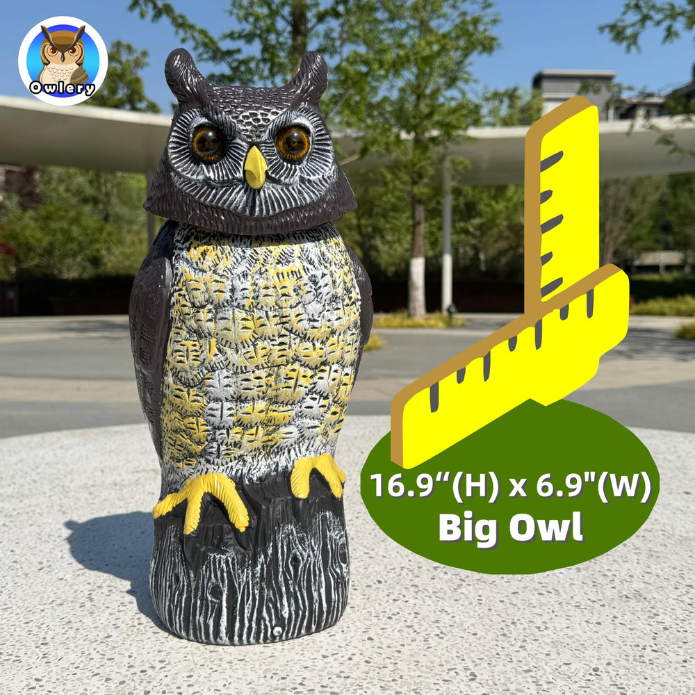 Owlery spinning head action capturing movement that startles pests effectively