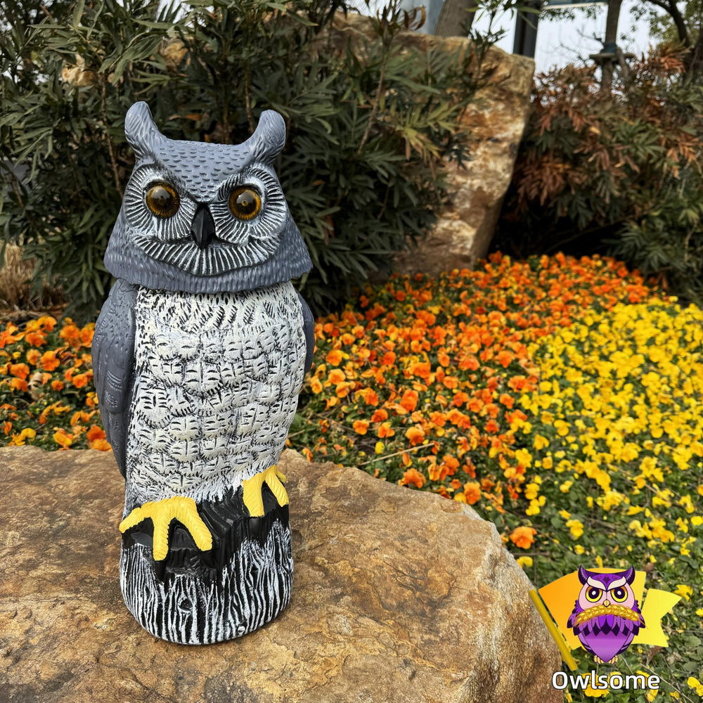 Owlsome on patio near plants demonstrating decorative and protective benefit