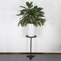 OwnMy stand displayed in a living room adding height and style to plants