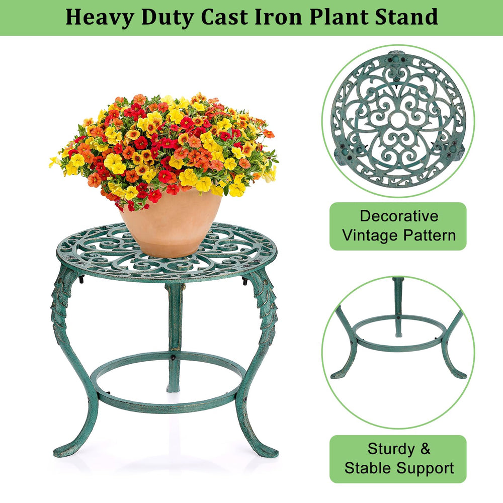 OwnMy stand with large pot to show size compatibility and visual scale