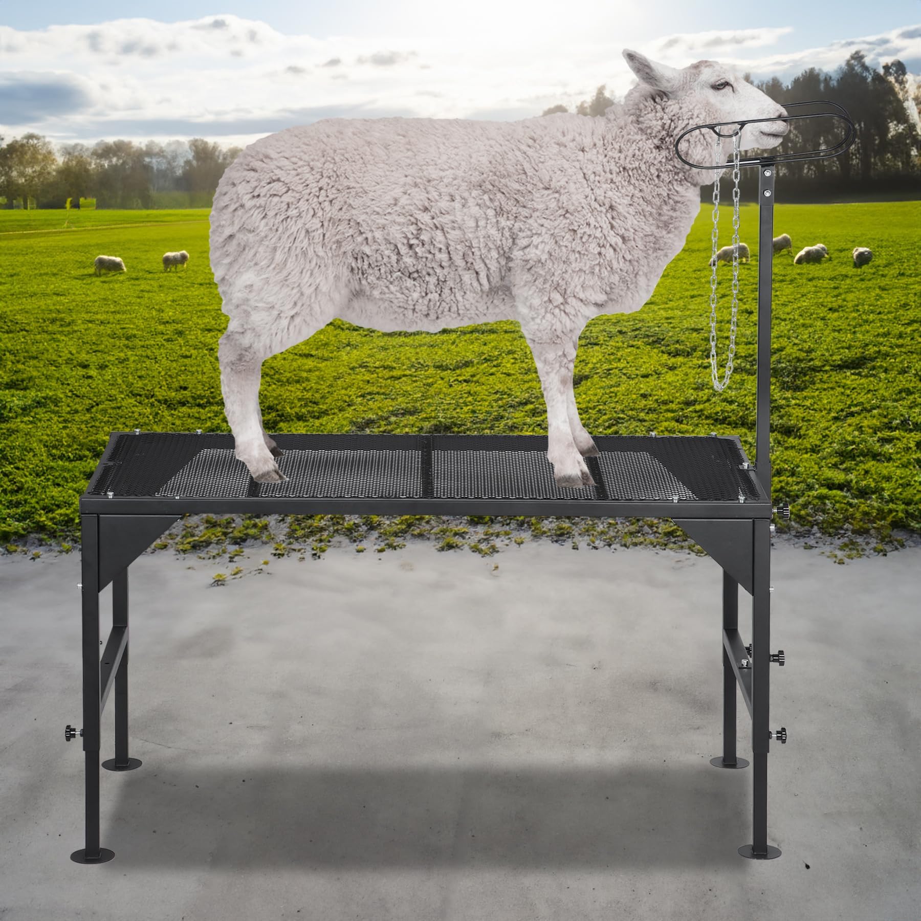 Oxphanor folded stand stored compactly for transport convenience benefit