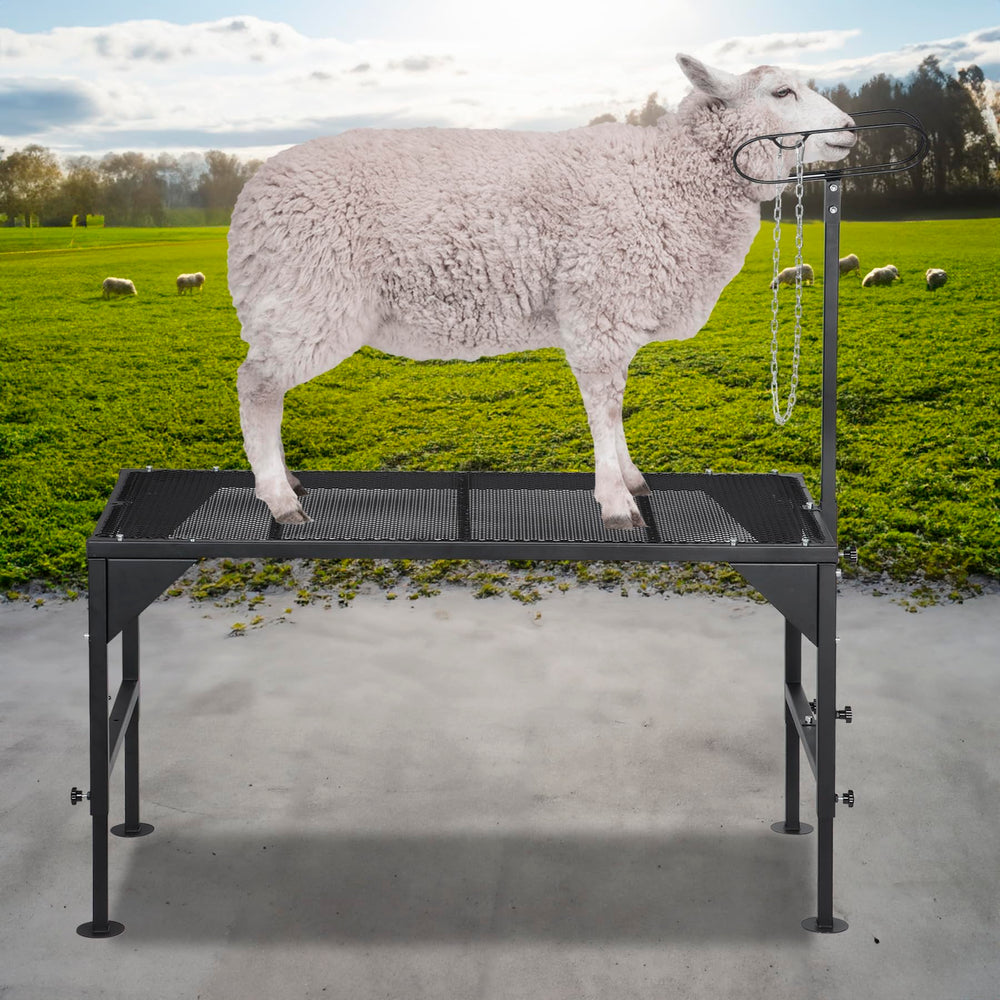 Oxphanor folded stand stored compactly for transport convenience benefit