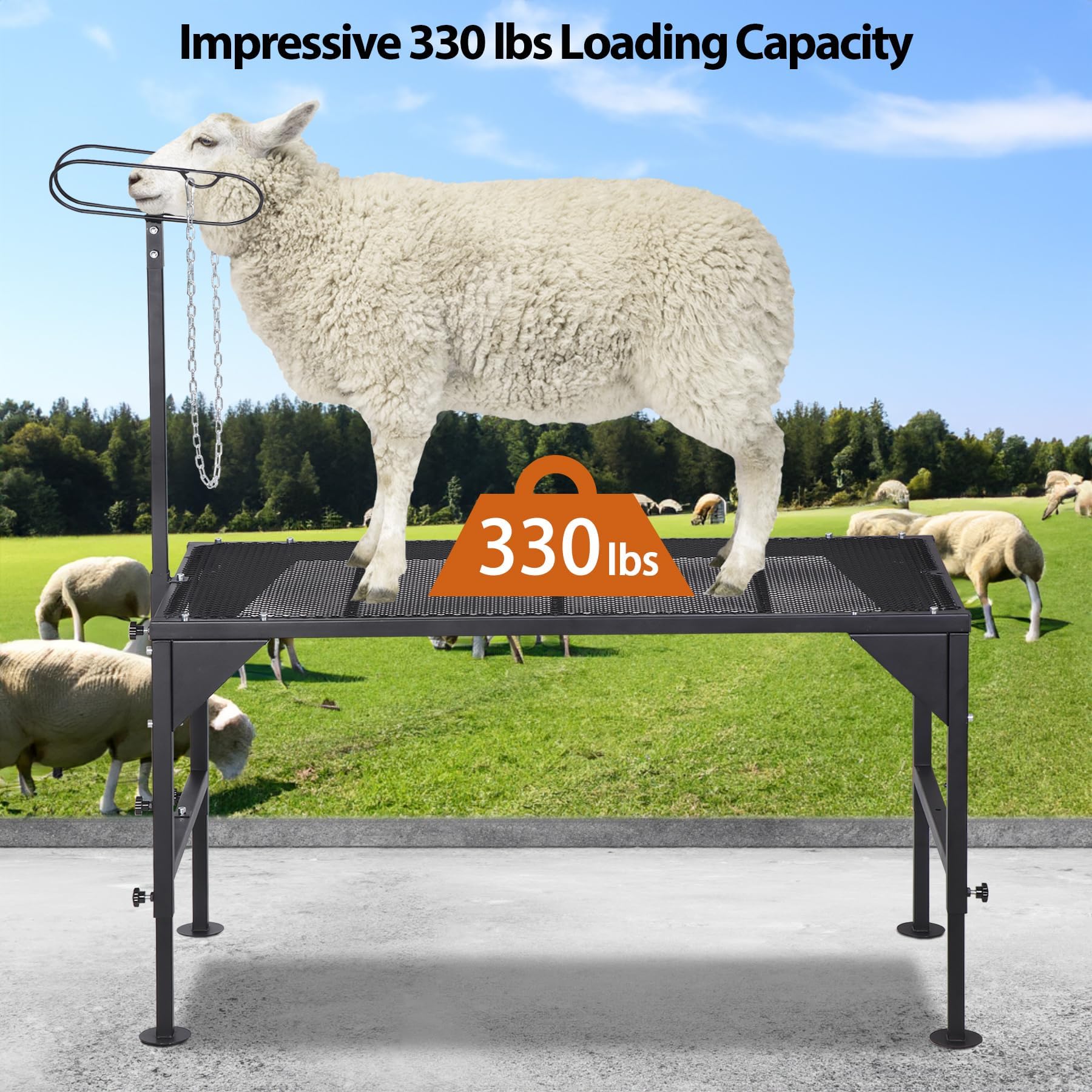 Oxphanor stand with sheep showing size and stability benefit