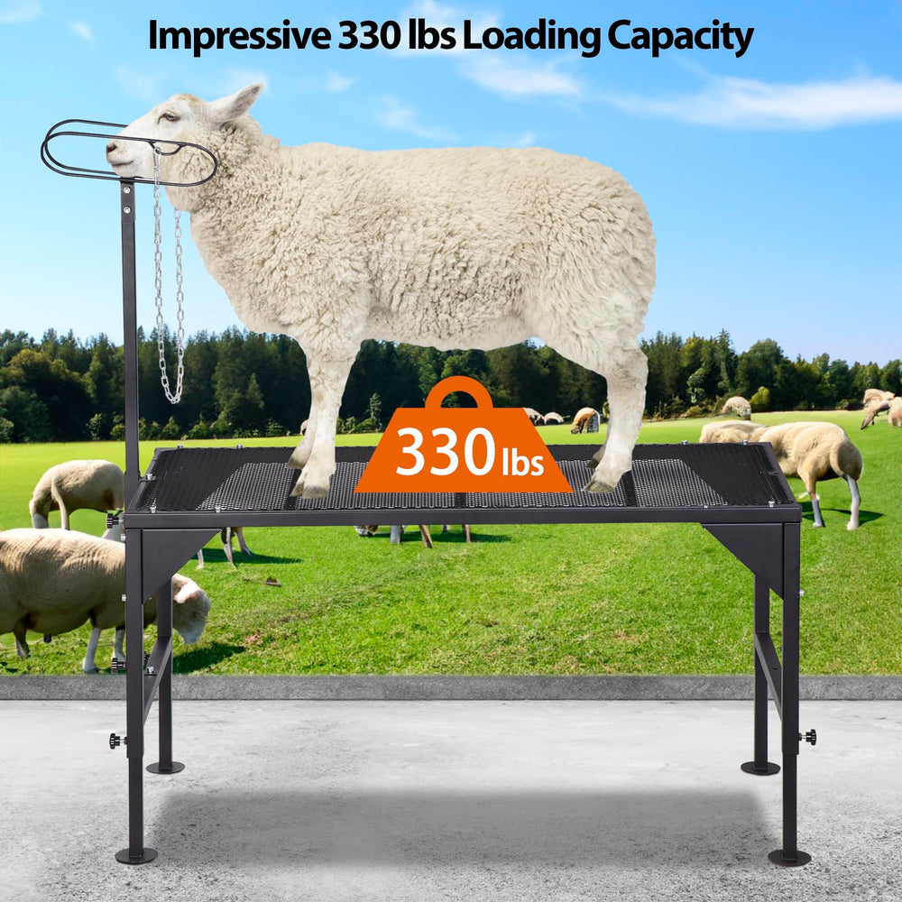 Oxphanor stand with sheep showing size and stability benefit