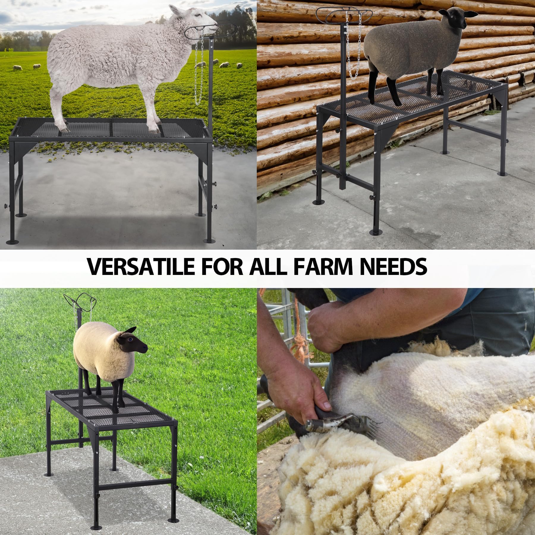 Oxphanor stand in use during shearing for easier access benefit