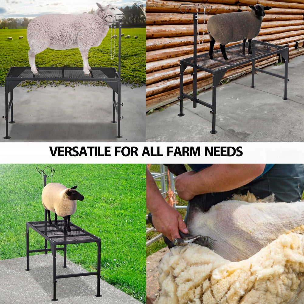 Oxphanor stand in use during shearing for easier access benefit