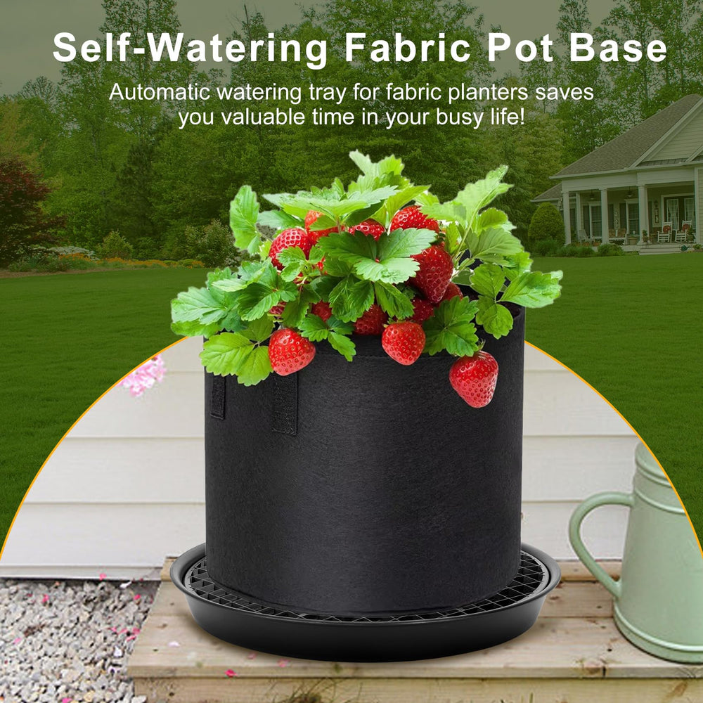 P Polerden balcony setup with planters showing tidy, low-maintenance container gardening benefit