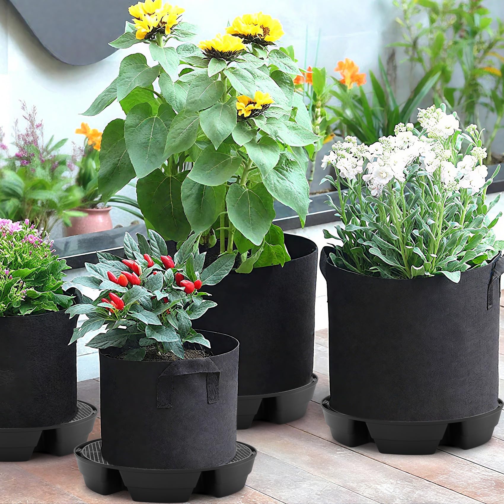 P Polerden on a balcony with plants illustrating low-maintenance watering benefits