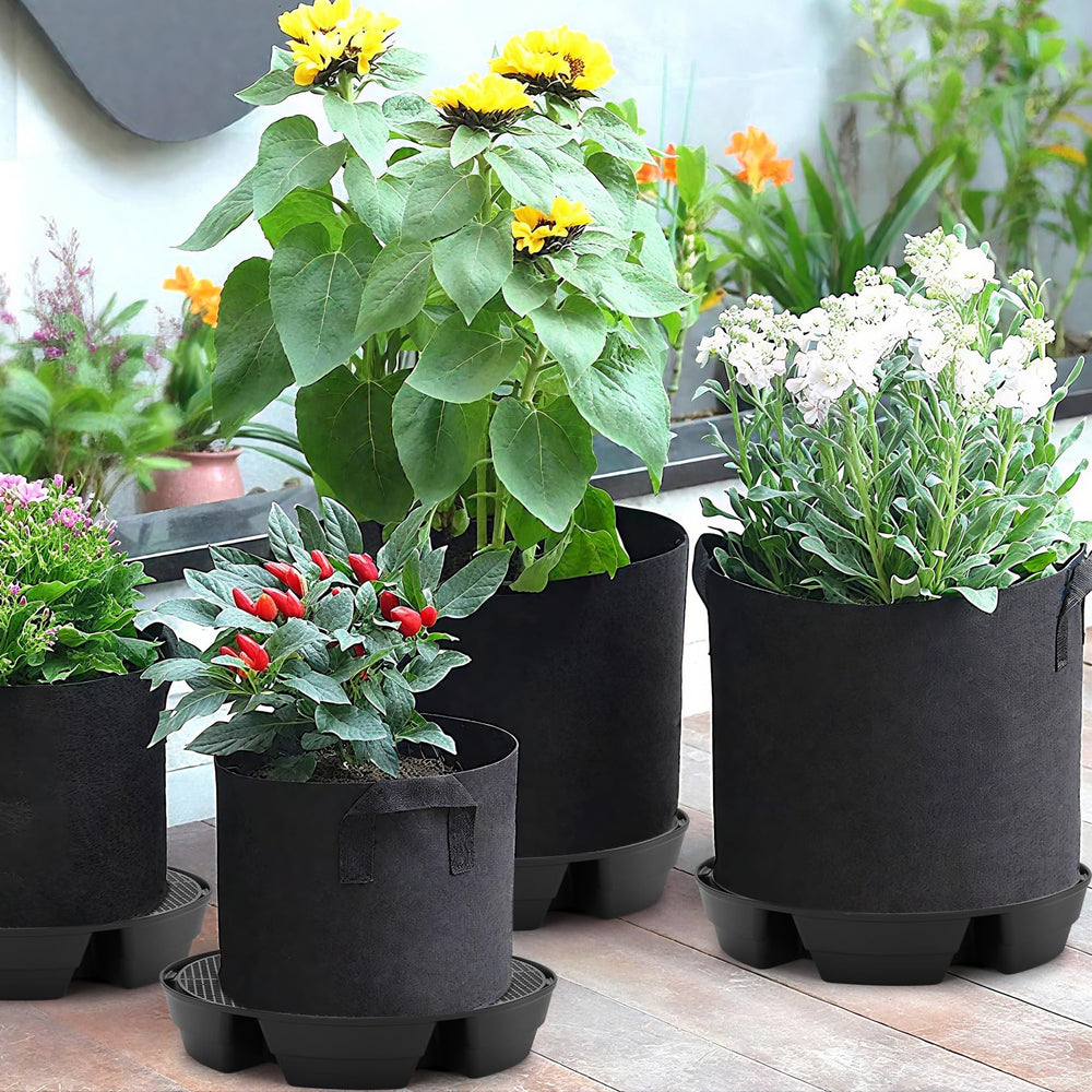P Polerden on a balcony with plants illustrating low-maintenance watering benefits