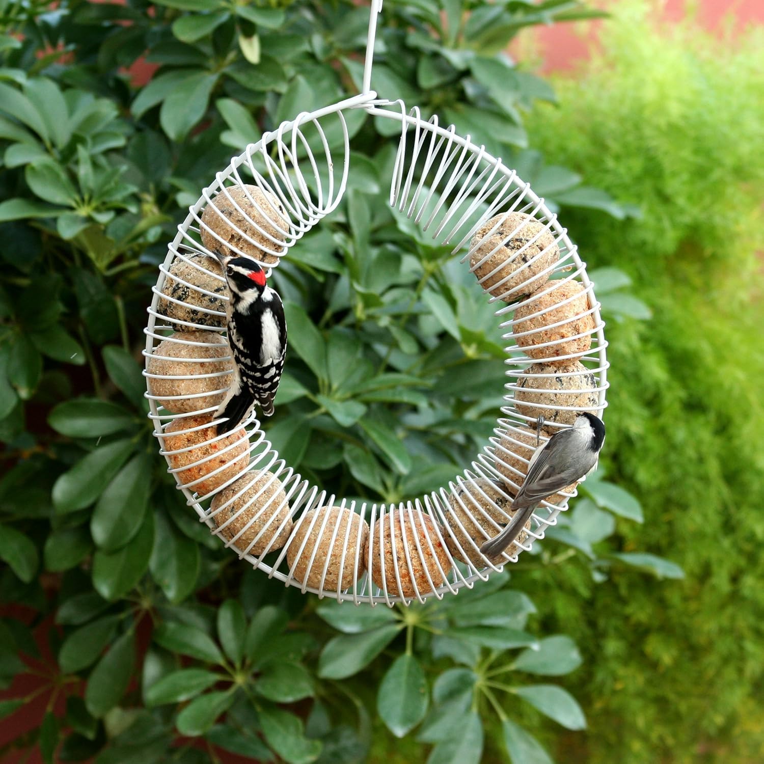 Pacific Bird suet ball held in hand to show compact, no-melt size and convenience
