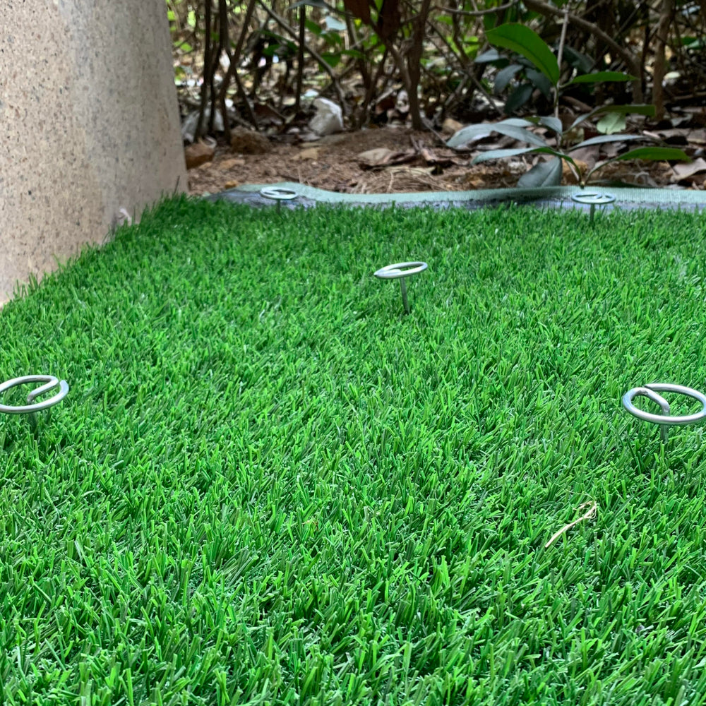 Palmhomee anchoring garden netting showing crop protection benefit