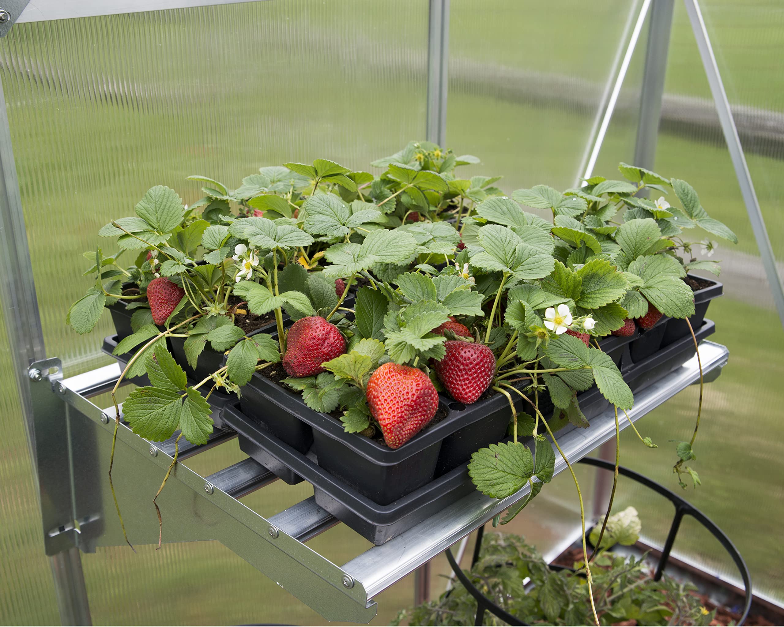 Palram shelf loaded with pots showing 90 lb capacity and organization benefit