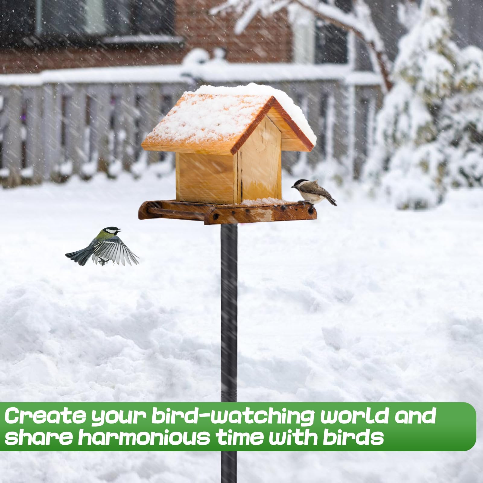 PAMASE installed in a garden with feeders showing how it enhances outdoor bird watching