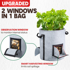 PAMAZY close-up of hinged harvest window enabling no-dig harvesting