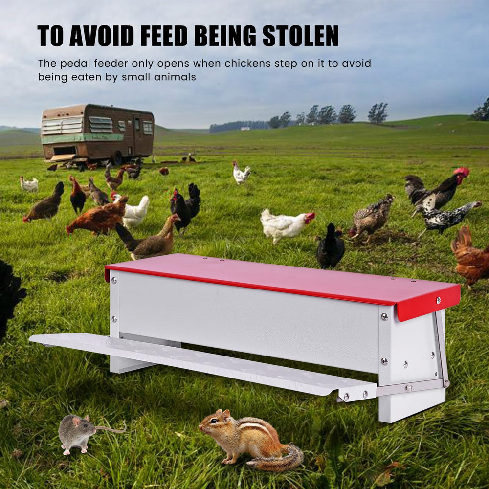 PAMUNULA feeder placed inside a chicken coop with birds using it, reduces feed waste benefit