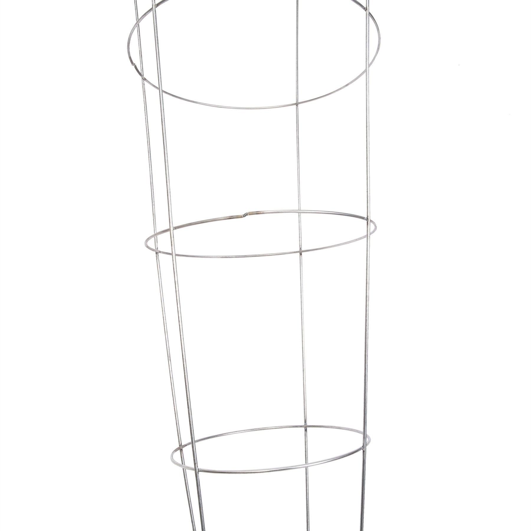 Panacea cage placed in a container garden supporting tomato stems and improving air flow