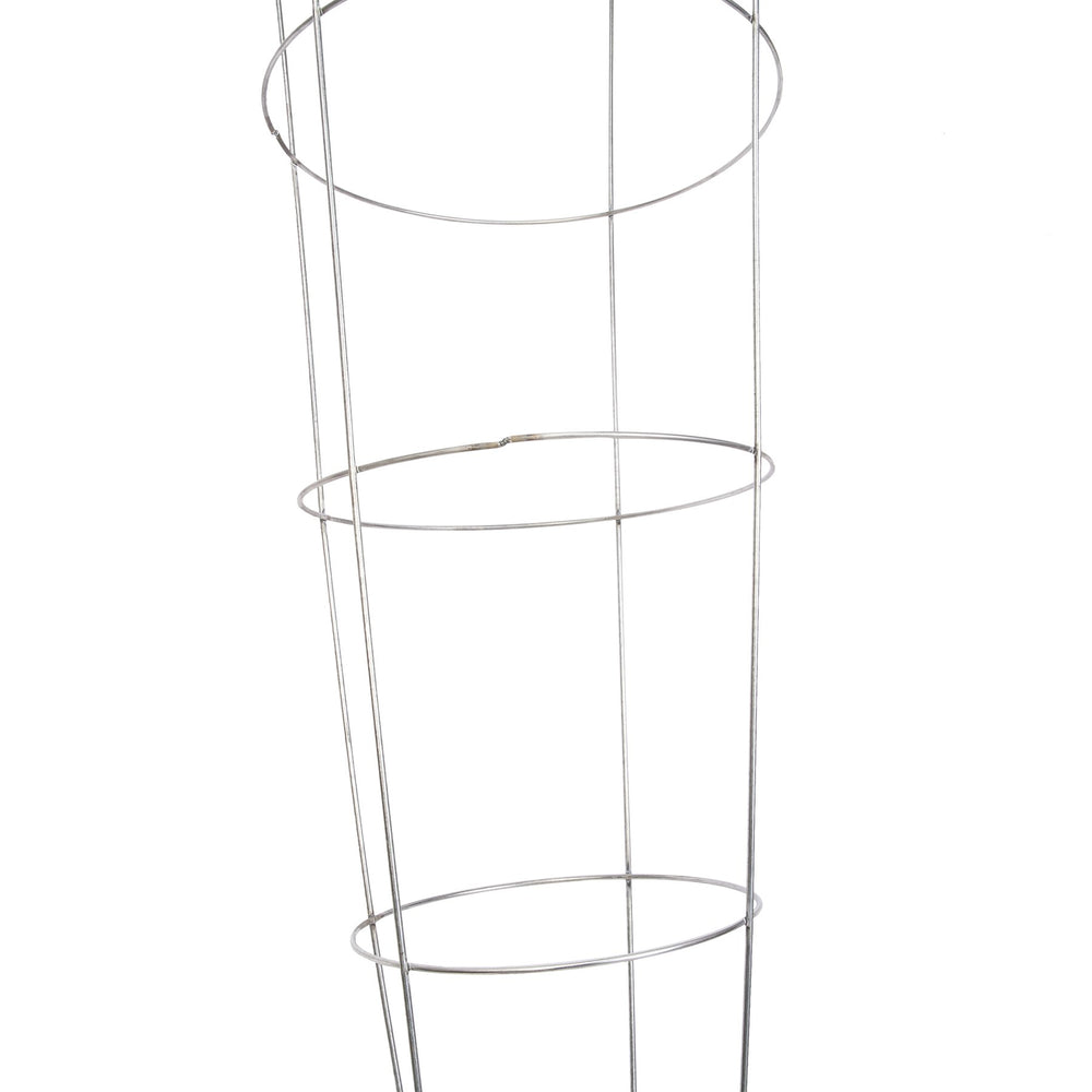 Panacea cage placed in a container garden supporting tomato stems and improving air flow