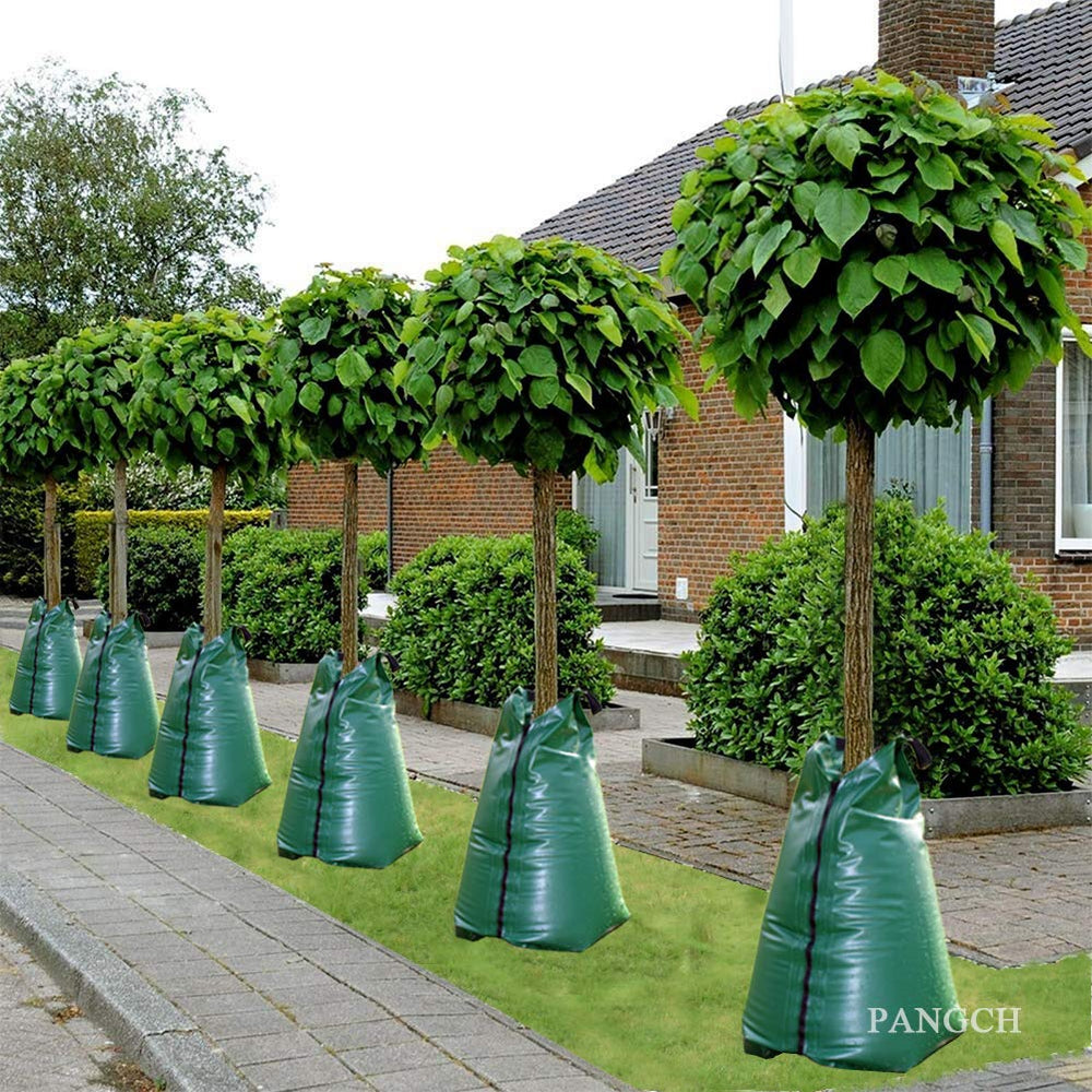 PANGCH installed in backyard showing reduced watering labor benefit
