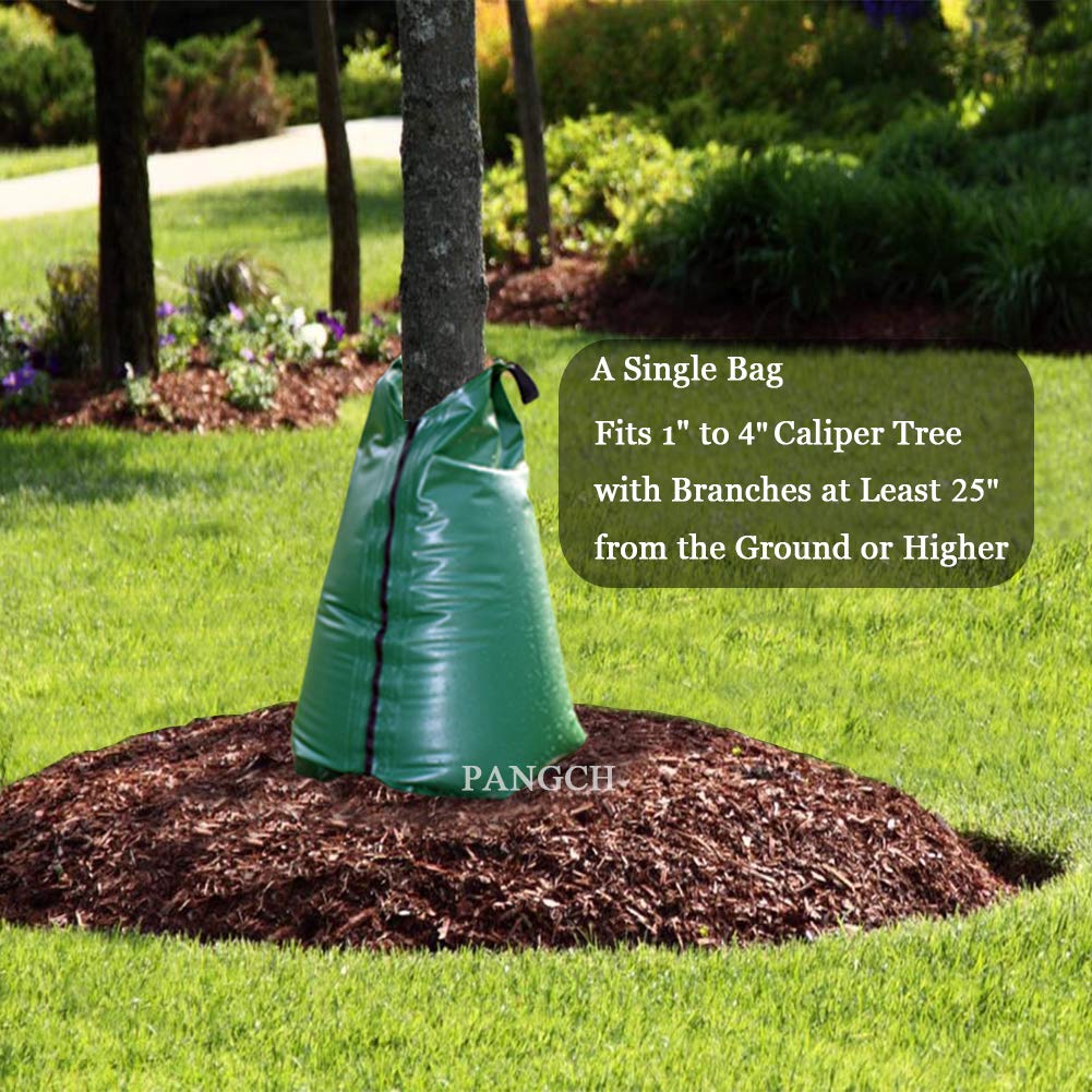 PANGCH bag wrapped around tree delivering slow-release water benefit