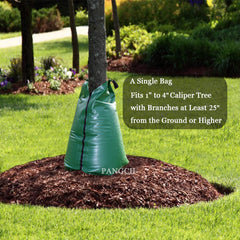 PANGCH bag wrapped around tree delivering slow-release water benefit