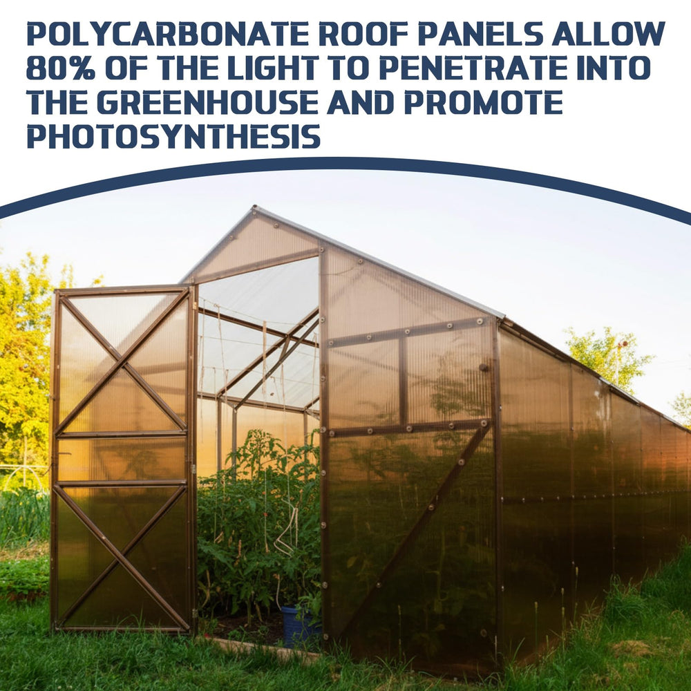 Pangda panel fitted on greenhouse roof showing weather protection and soft daylight inside