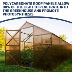 Pangda panel fitted on greenhouse roof showing weather protection and soft daylight inside