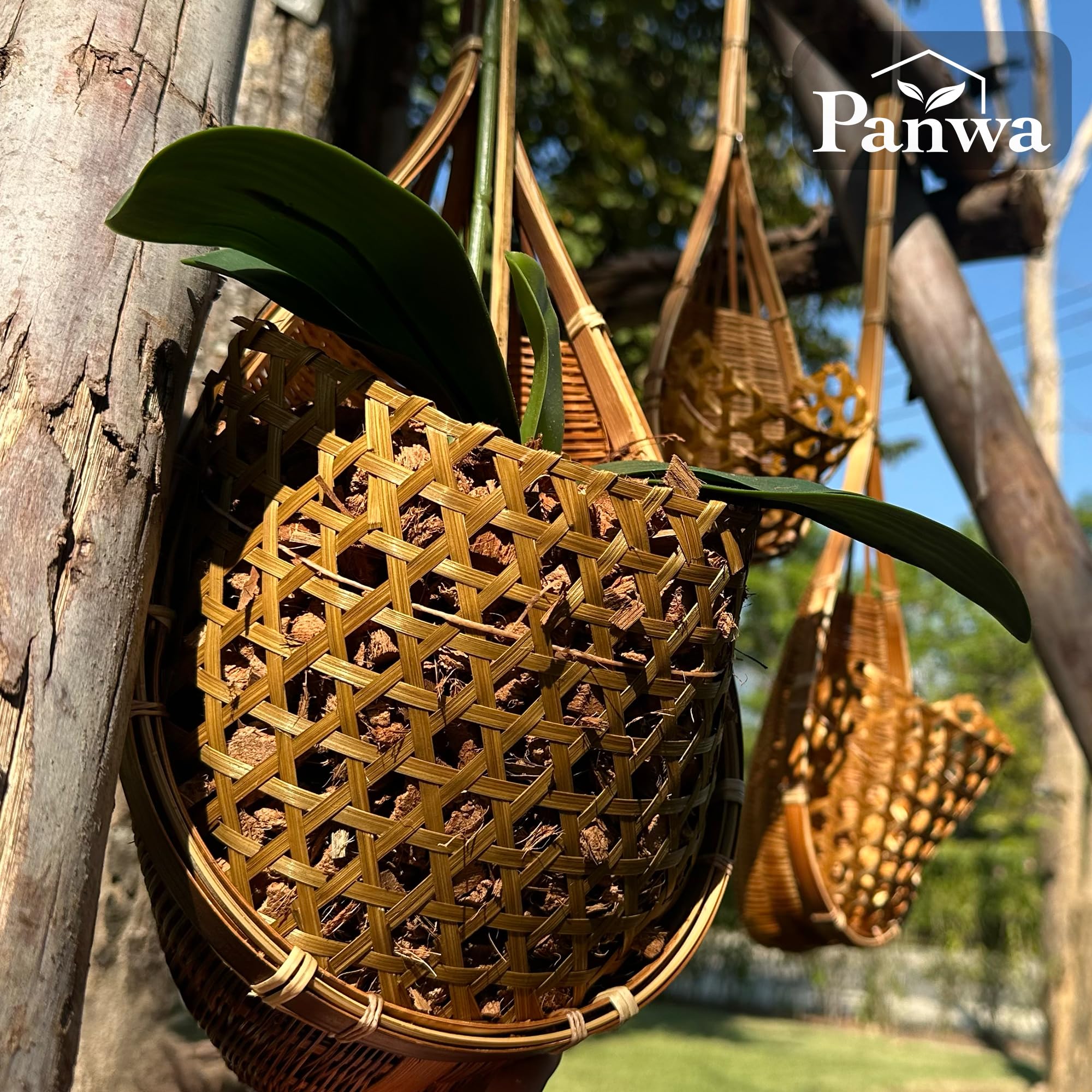 PANWA view of coconut liner inside basket showing moisture retention benefit
