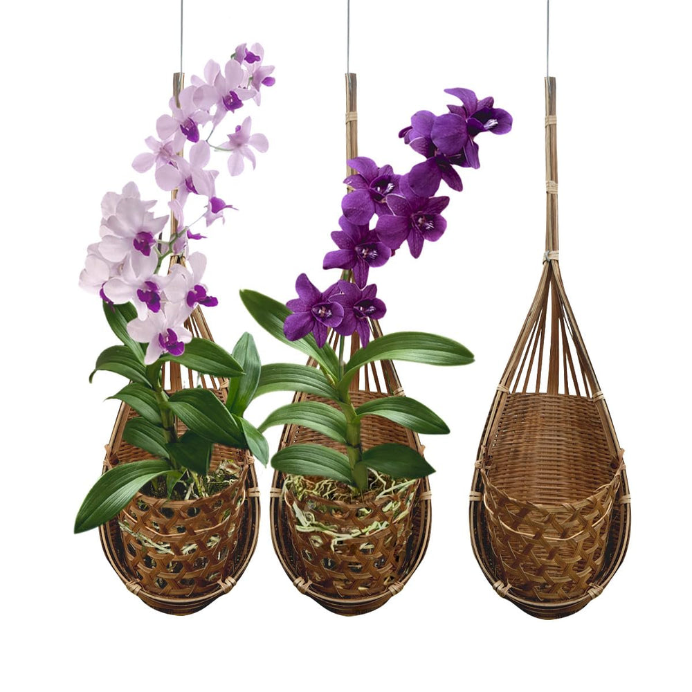 PANWA front view of three hanging bamboo orchid baskets, natural display benefit