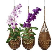 PANWA front view of three hanging bamboo orchid baskets, natural display benefit