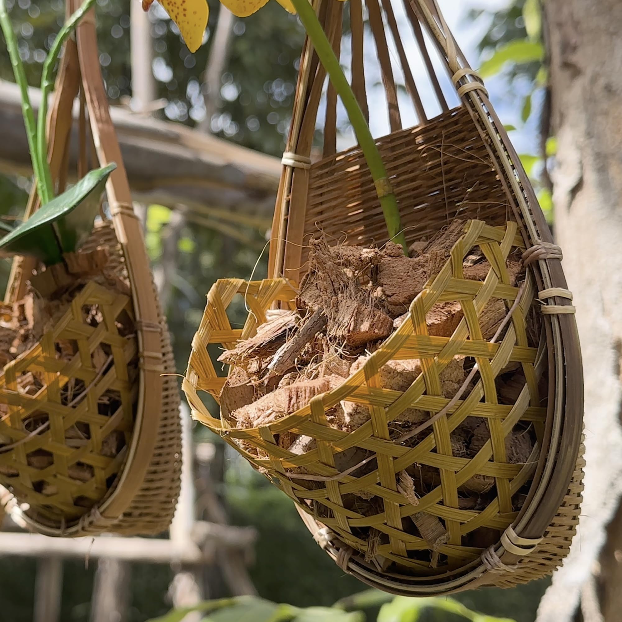 PANWA lifestyle shot on patio with three baskets creating layered visual interest