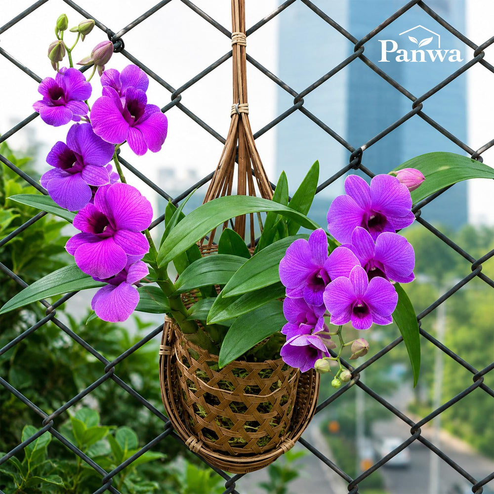 PANWA metal hanger and adjustable hook detail offering durable hanging support