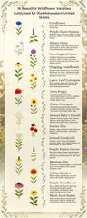 Paper Street Perennials label and contents highlighting species list and benefits