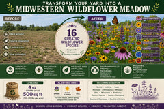 Paper Street Perennials wildflower seed mix close-up displaying seed variety