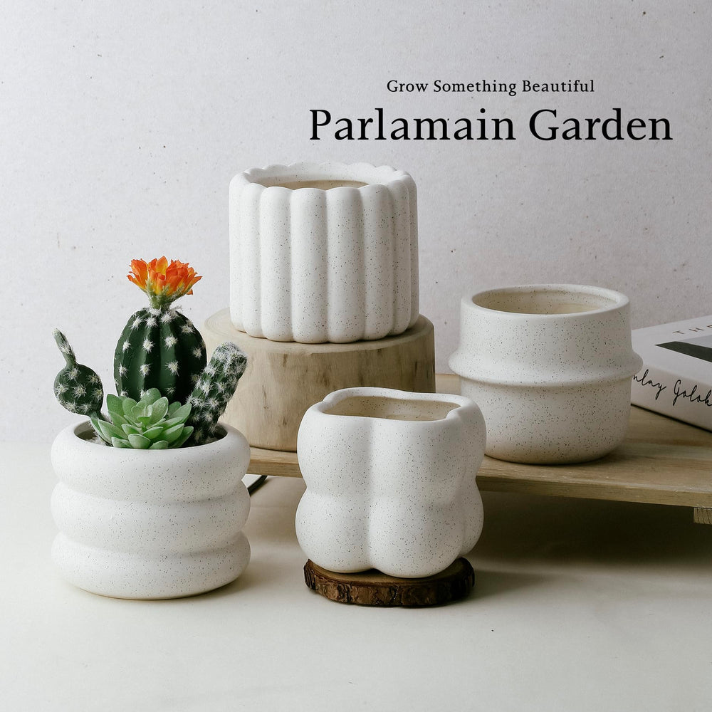 Parlamain top-down view of arranged set showing varied openings and coordinated aesthetic