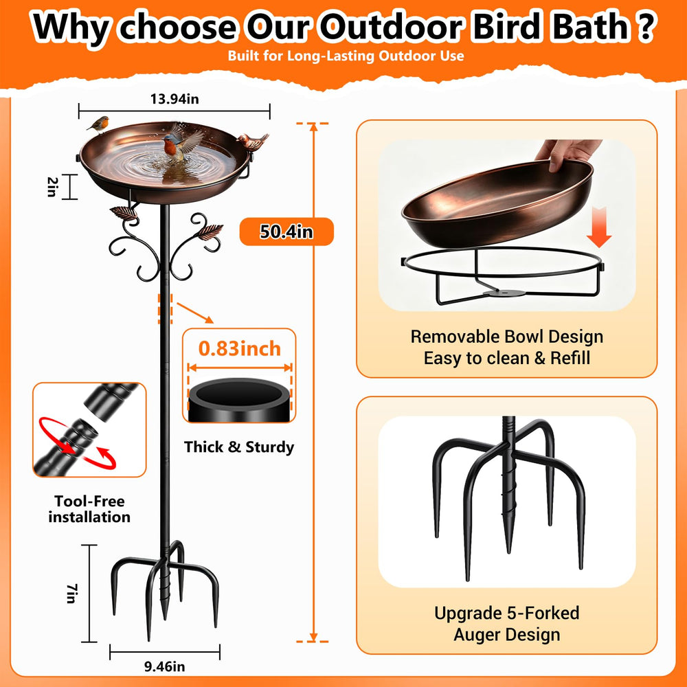 Parovite bird bath with wild bird bathing, attracts and supports backyard birdlife