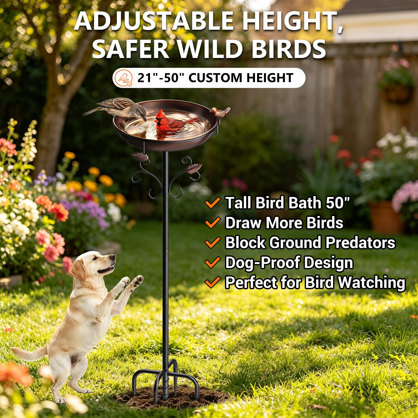 Parovite close-up of 12-inch bowl texture and rim, ensures easy cleaning and bird comfort