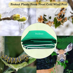 Pasidener cover in garden use protecting shrubs from cold winds