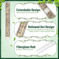Patelai assembled pole with monstera demonstrating vertical support benefit