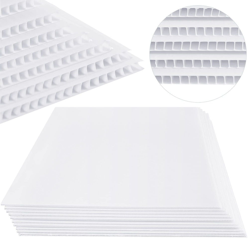Patelai front view of 24x36 white pack showing clarity and readability