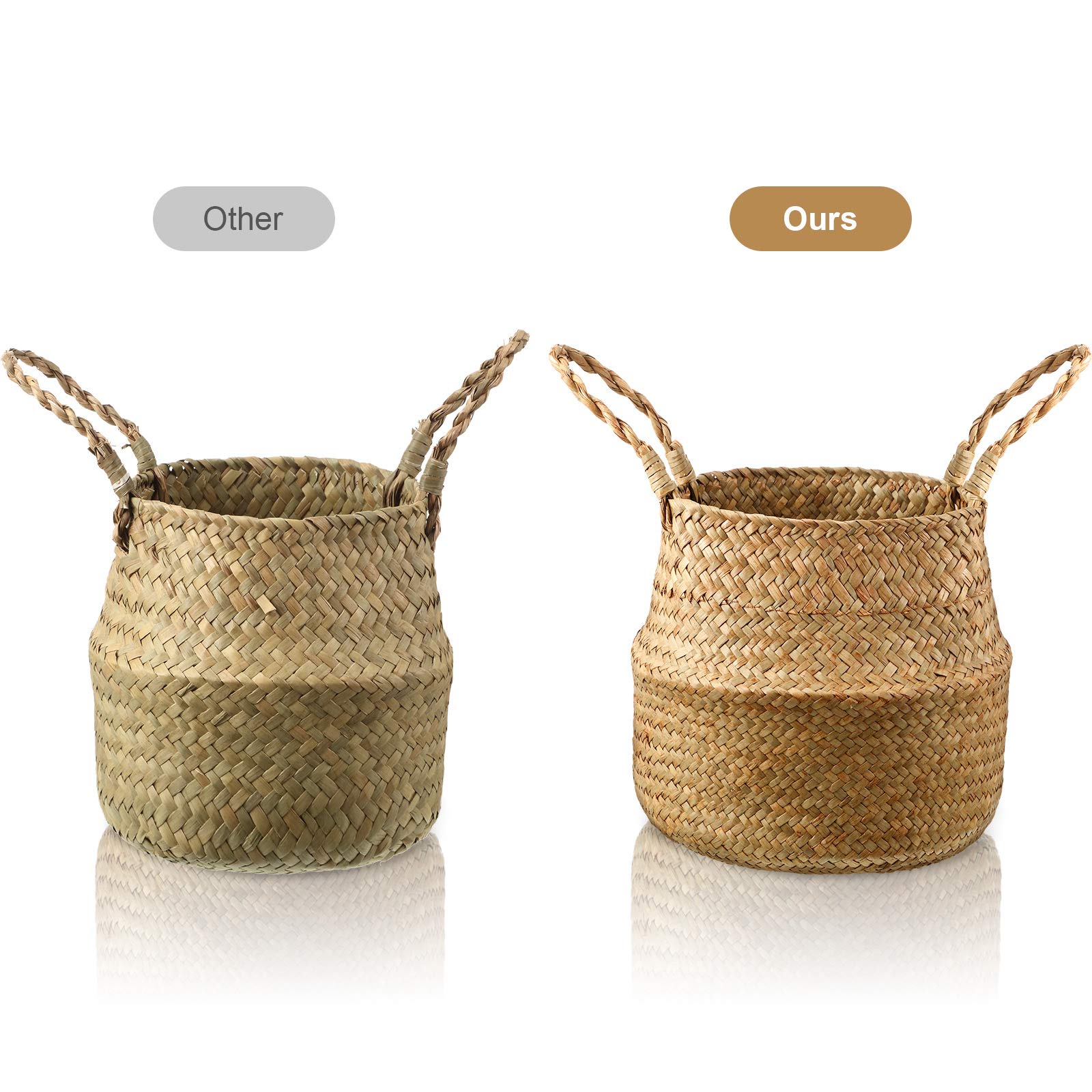 Patelai large basket beside plant demonstrates size and utility