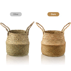 Patelai large basket beside plant demonstrates size and utility