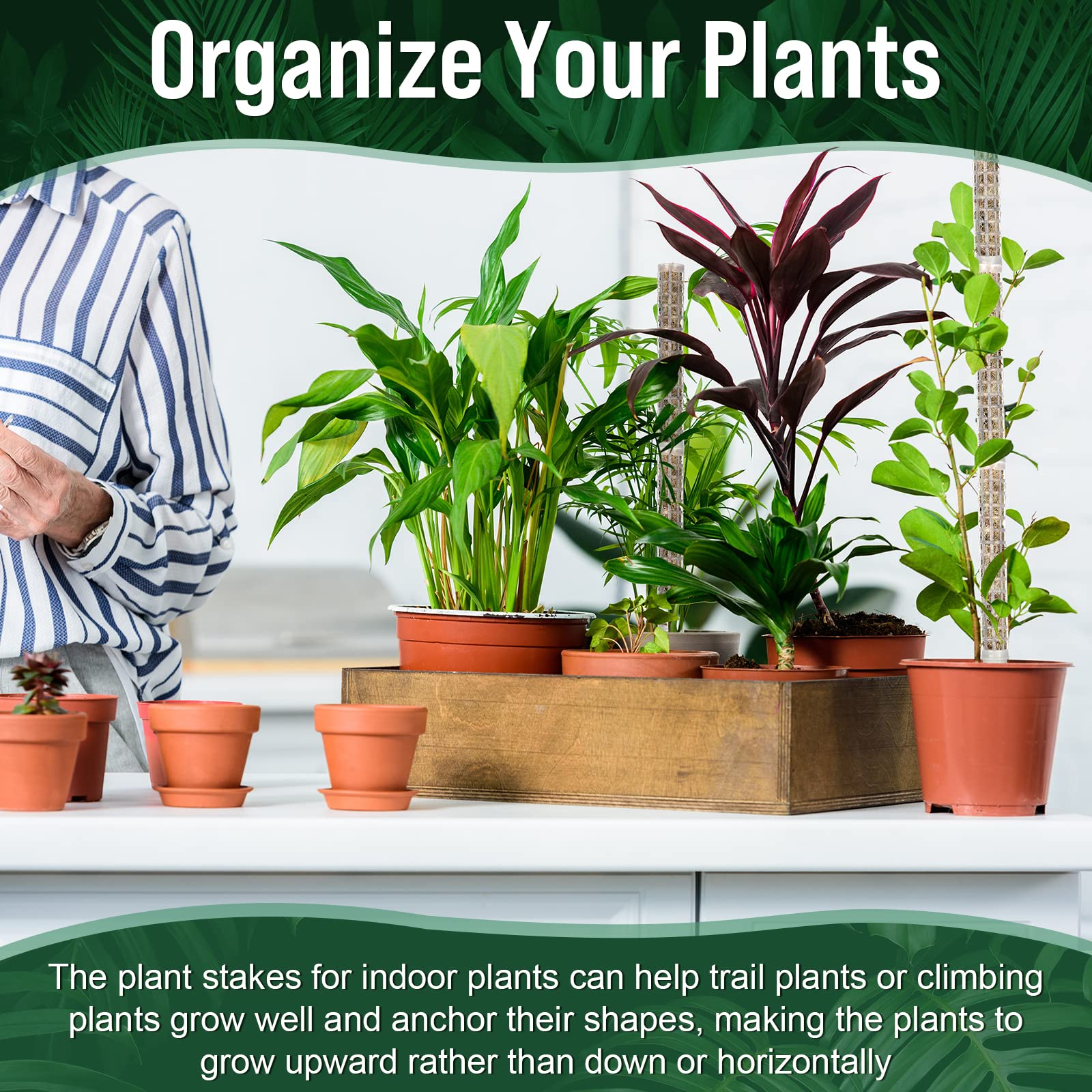 Patelai lifestyle shot with potted climbers showing neater plants benefit
