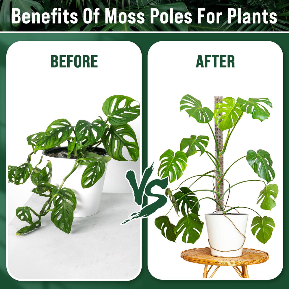 Patelai green tape rolls and ties for gentle plant securing benefit